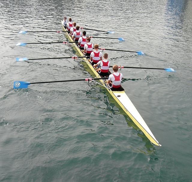 仅为尼克斯